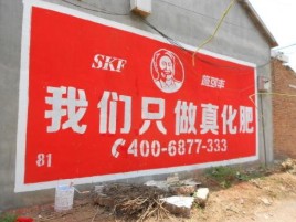资阳刷墙广告”蕴含了时代命题