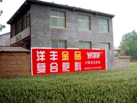资阳如何让墙体广告展现最大化效果