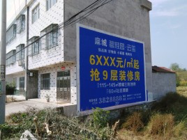 资阳墙体广告质量分析