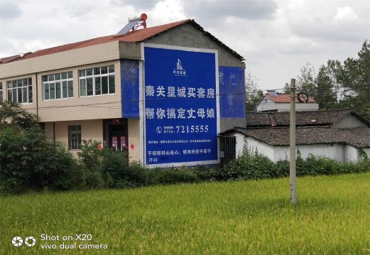 资阳决定墙体广告价格的因素有哪些？