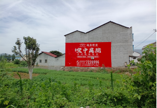 资阳做墙体广告的意义