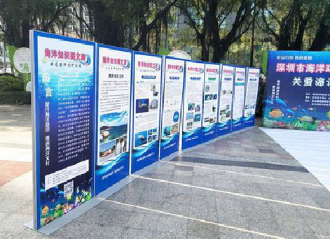 资阳KT板的种类和知识。